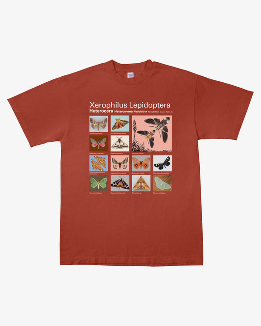Taxa Shirt 7: The Xerophilus Lepidoptera