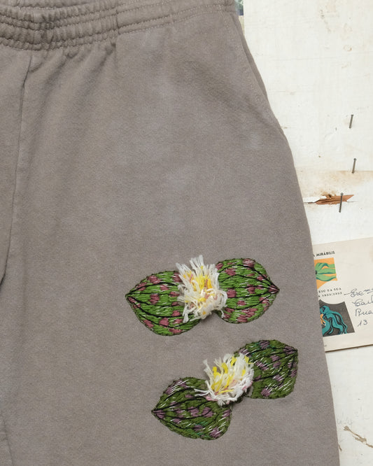 Massonia pustulata (L) Sweatpants