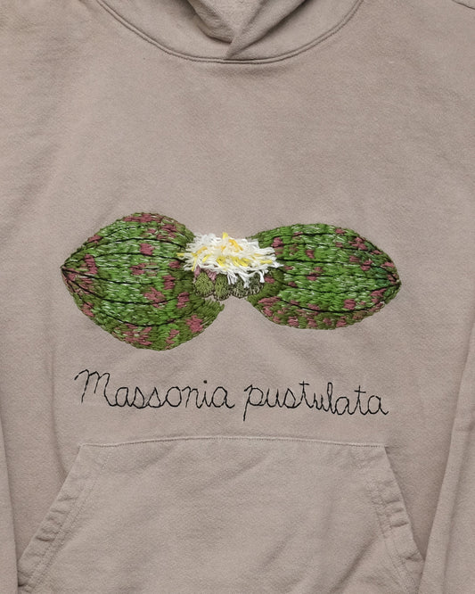 Massonia pustulata (M) Hooded Sweatshirt