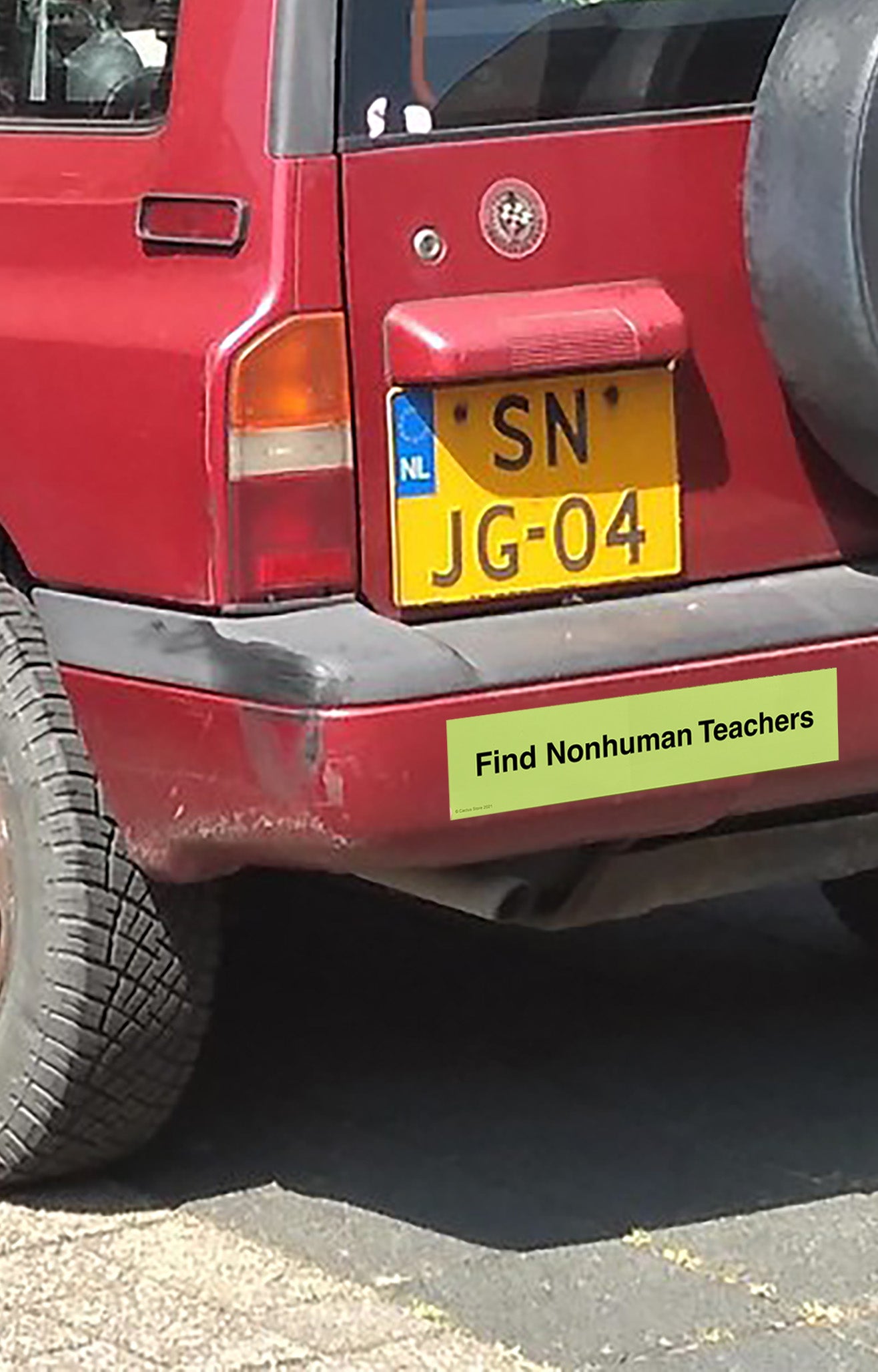 Find Nonhuman Teachers Bumper Sticker