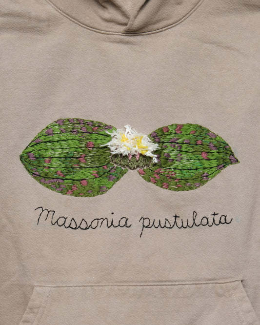 Massonia pustulata (XL) Hooded Sweatshirt