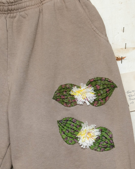 Massonia pustulata (XL) Sweatpants