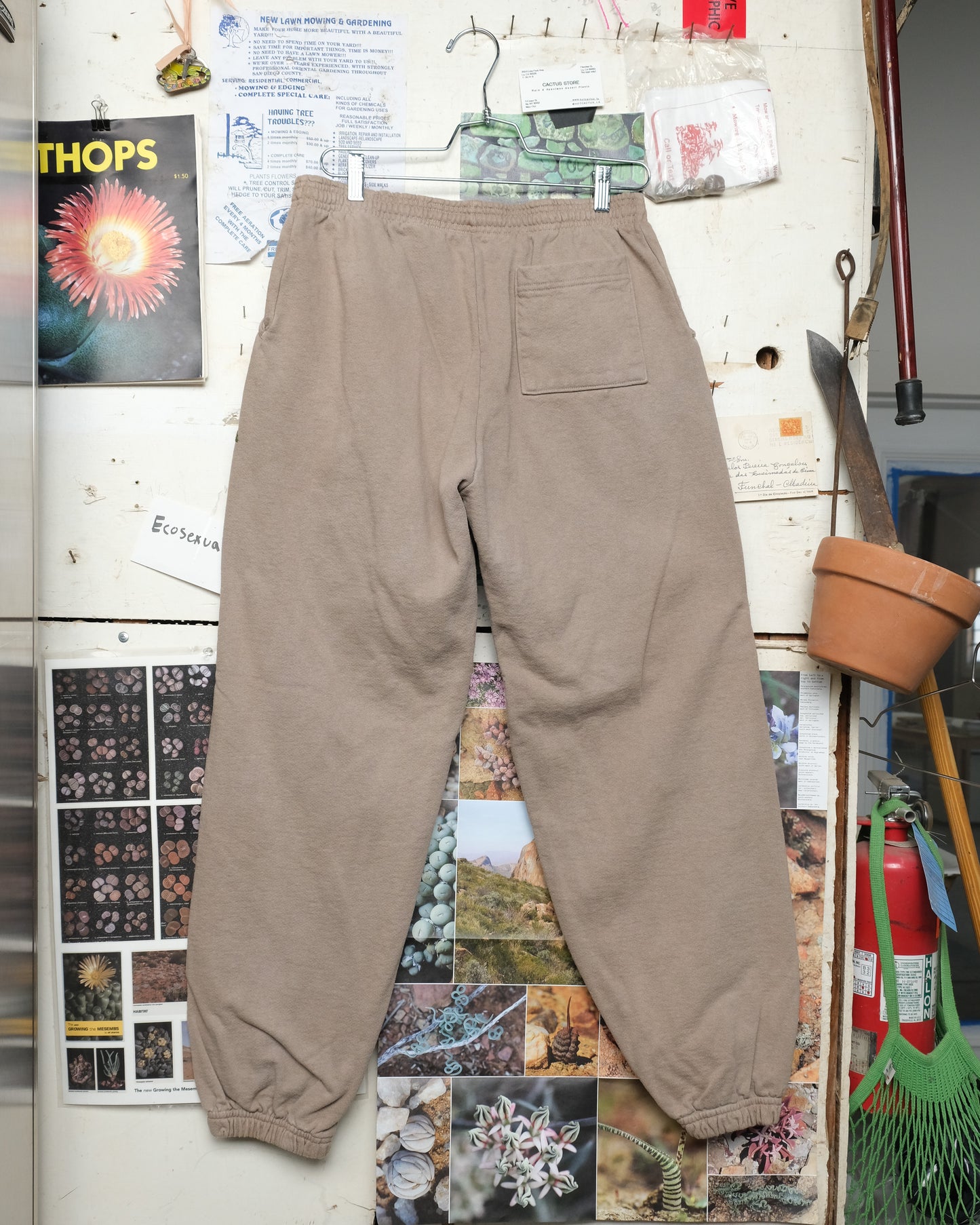 Massonia pustulata (XL) Sweatpants